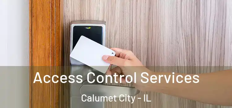  Access Control Services Calumet City - IL