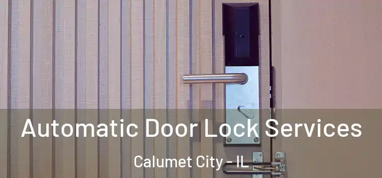  Automatic Door Lock Services Calumet City - IL