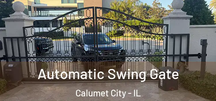  Automatic Swing Gate Calumet City - IL