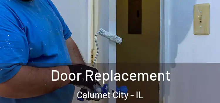  Door Replacement Calumet City - IL