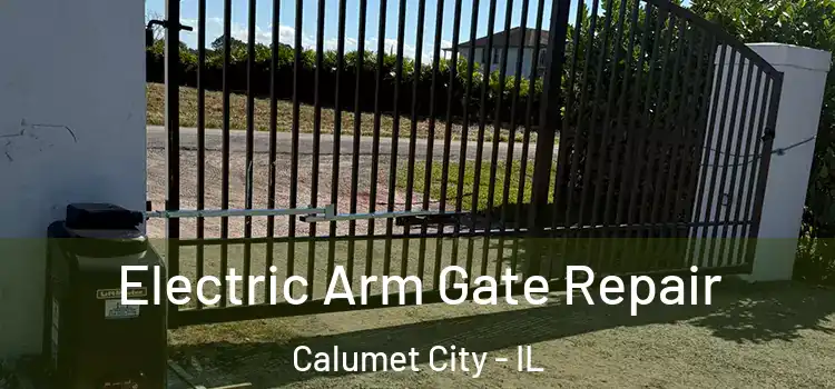  Electric Arm Gate Repair Calumet City - IL