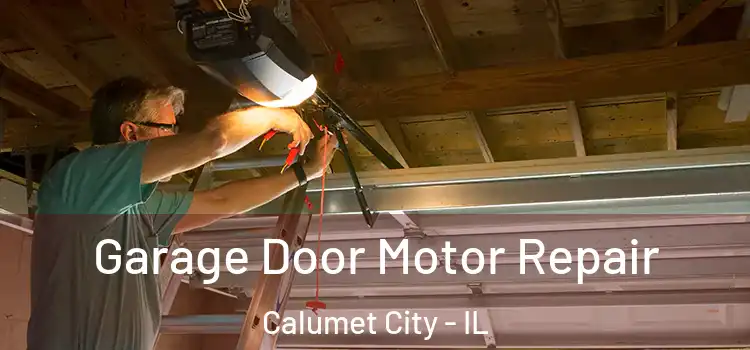  Garage Door Motor Repair Calumet City - IL