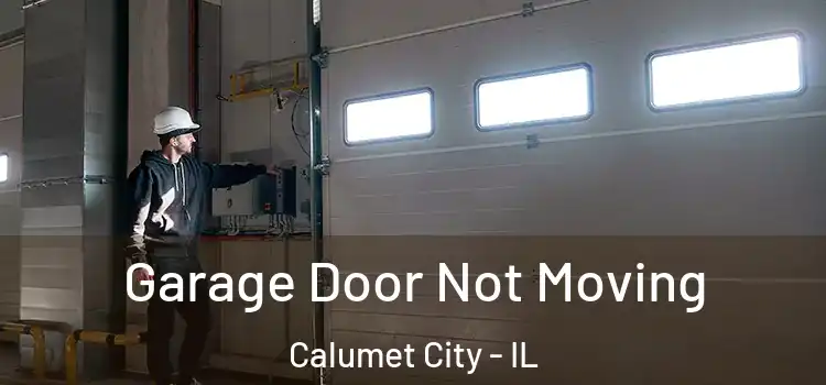 Garage Door Not Moving Calumet City - IL