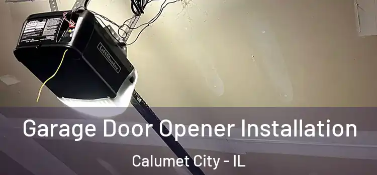  Garage Door Opener Installation Calumet City - IL