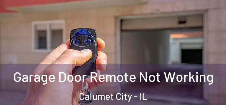  Garage Door Remote Not Working Calumet City - IL