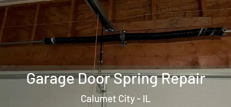  Garage Door Spring Repair Calumet City - IL