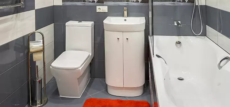 Hansgrohe Shaving Mirror Calumet City