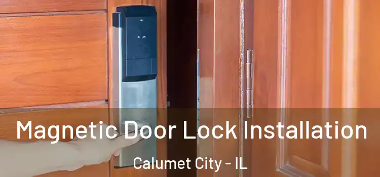  Magnetic Door Lock Installation Calumet City - IL