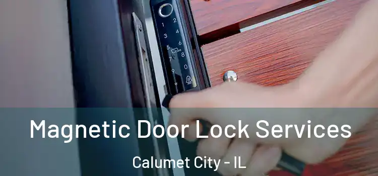  Magnetic Door Lock Services Calumet City - IL