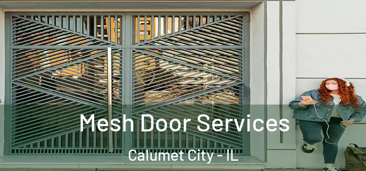 Mesh Door Services Calumet City - IL