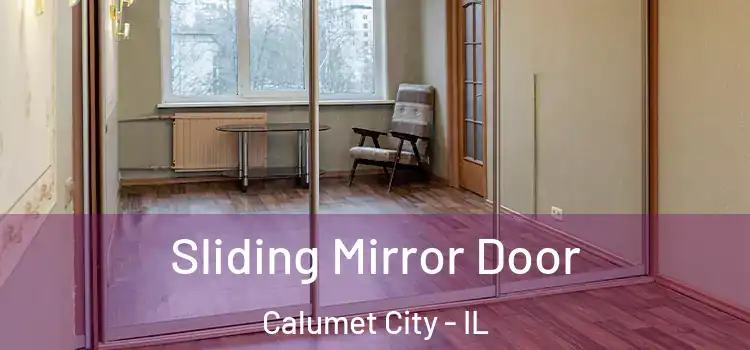  Sliding Mirror Door Calumet City - IL